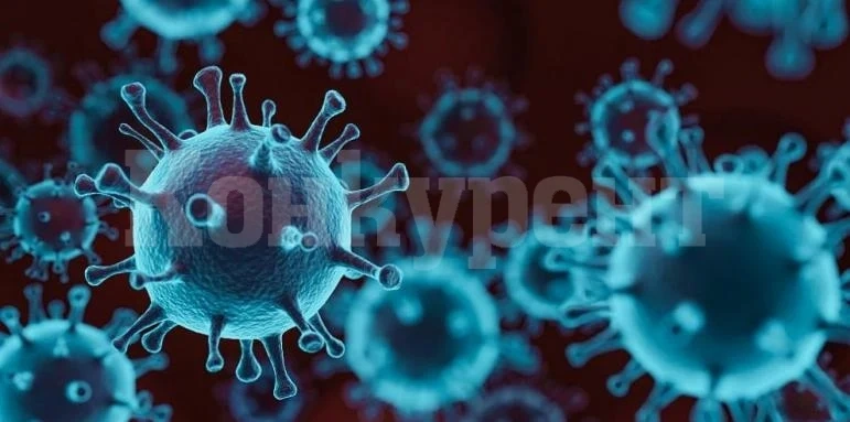 Южна Корея започва да използва лекарството срещу КОВИД на „Пфайзер“