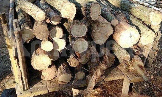 Спипаха жена, доставяла дърва на хора