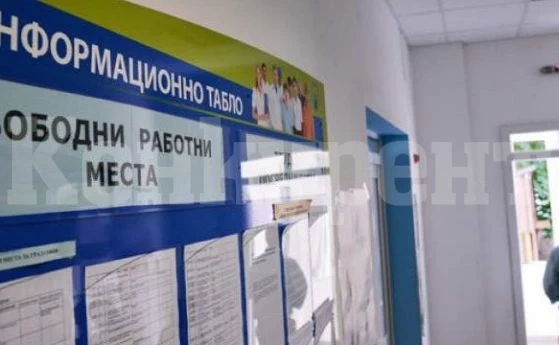 В Ломско 16 безработни се конкурират за едно свободно място