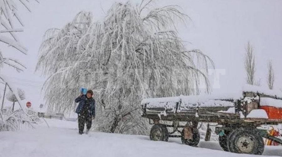 Бяла смърт на границата: Майка се съблече заради децата си и загина от измръзване 