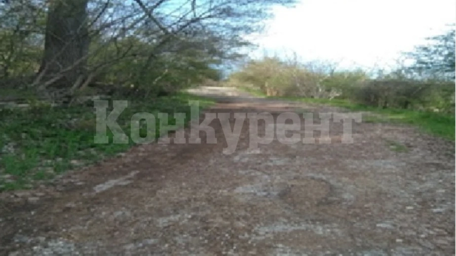 Искат ремонт на улица в кулско село