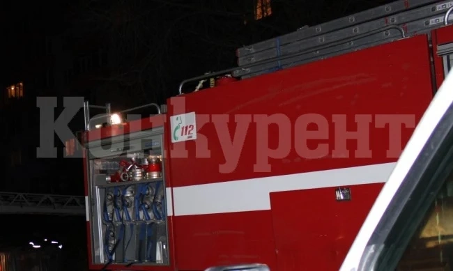 Пожарникари спасиха от пламъци 20 домашни животни