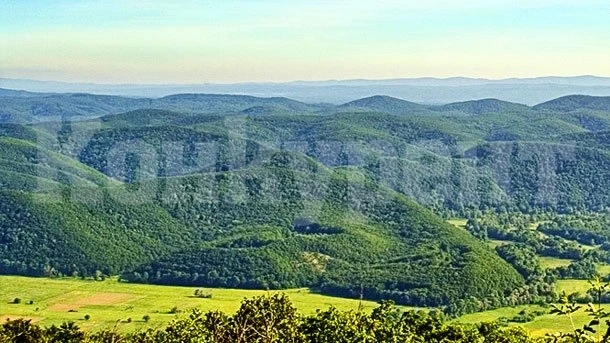 Ето какво скриха хората на Людмила Живкова от разкопките в Странджа