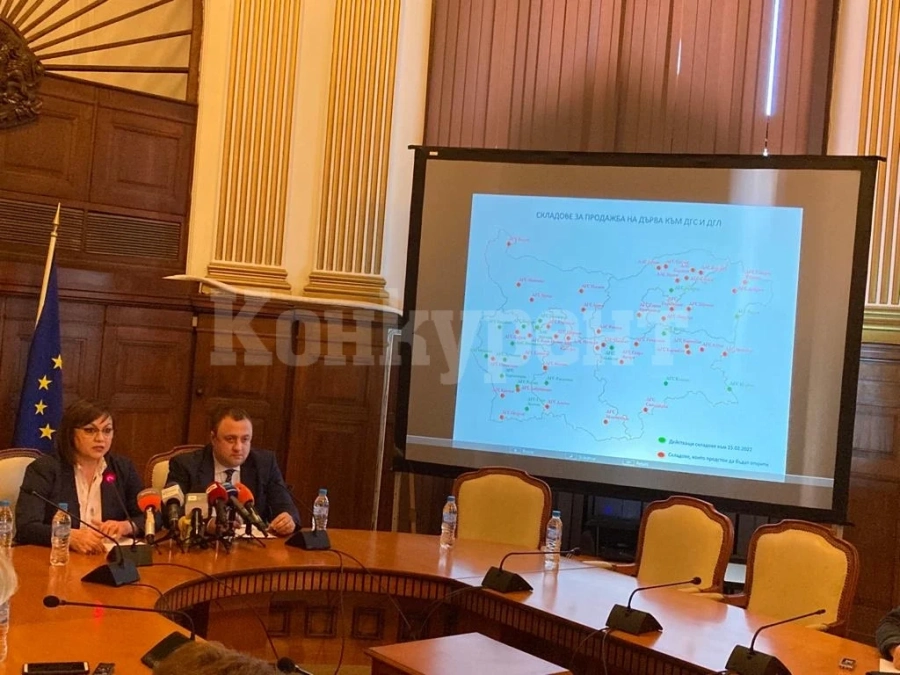 Добри новини за жителите на Северозапада, ето от къде ще можете да си купувате евтини дърва за огрев