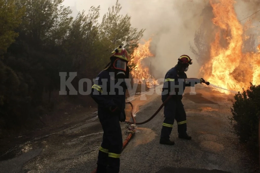 Пожарникари гасиха пламъци в две видински села