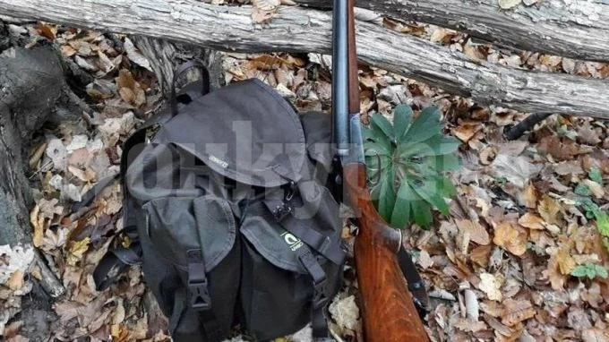 До минимум е сведен броят на дивите свине в Монтанско
