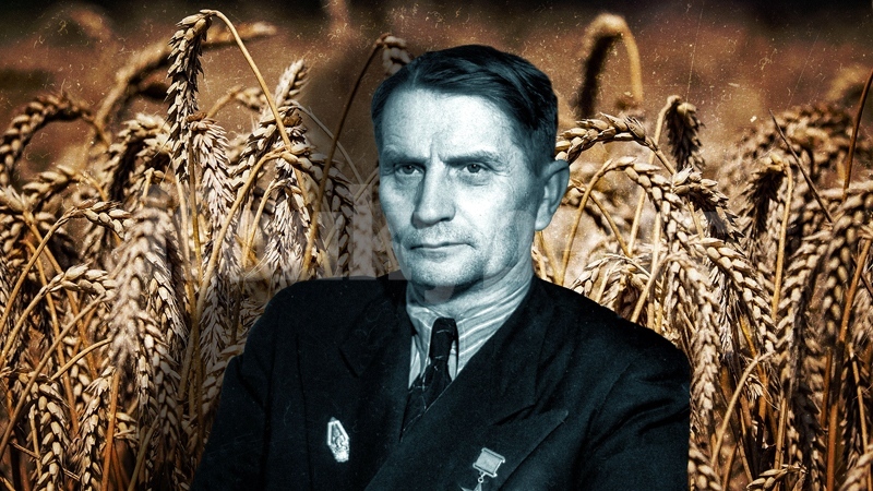 Лисенко уби повече хора от всеки друг учен в историята