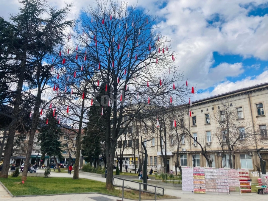 Украсяват центъра на Враца за 1 март СНИМКИ