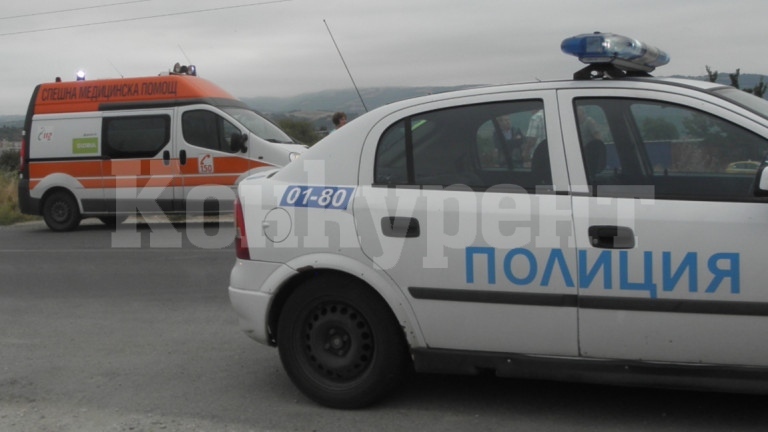 Погода в ниве питерский Погода в ниве питерский