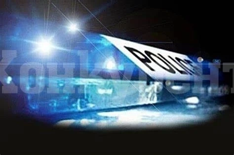 Провериха 20 коли и 27 човека при акция в Оряхово