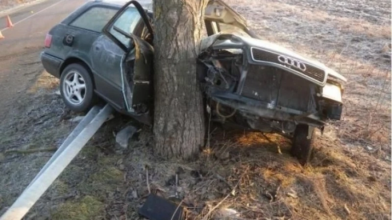 Тежка катастрофа с „Ауди“ окървави път във Видинско, двама души са със сериозни травми