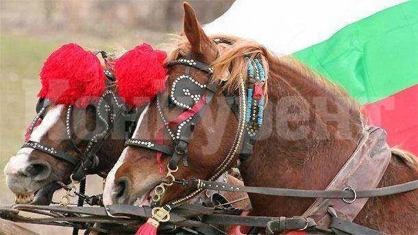 Традиционната кушия за Тодоровден ще се проведе край село Замфирово