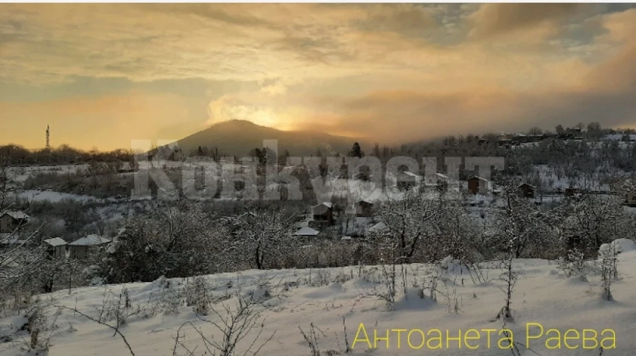 Мездренско читалище обявява фотоконкурс