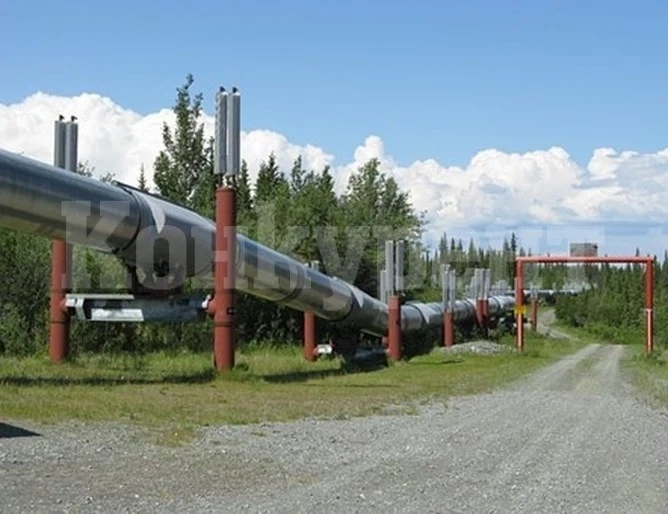 Полша ще изгради нови газопроводи, за да спре зависимостта си от Русия