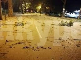 Огнеборците във Видинско два дни се борят с щетите от бурята