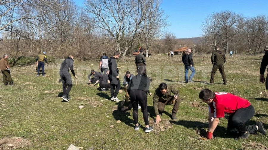 В Берковица садят дръвчета в Седмицата на гората