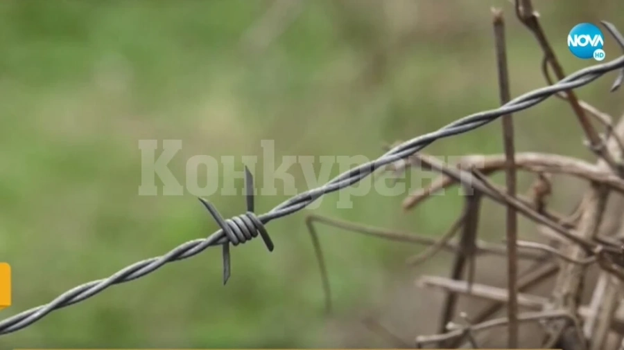 Пологовни кражби във Видинско: Къща на възрастна жена остана без ограда