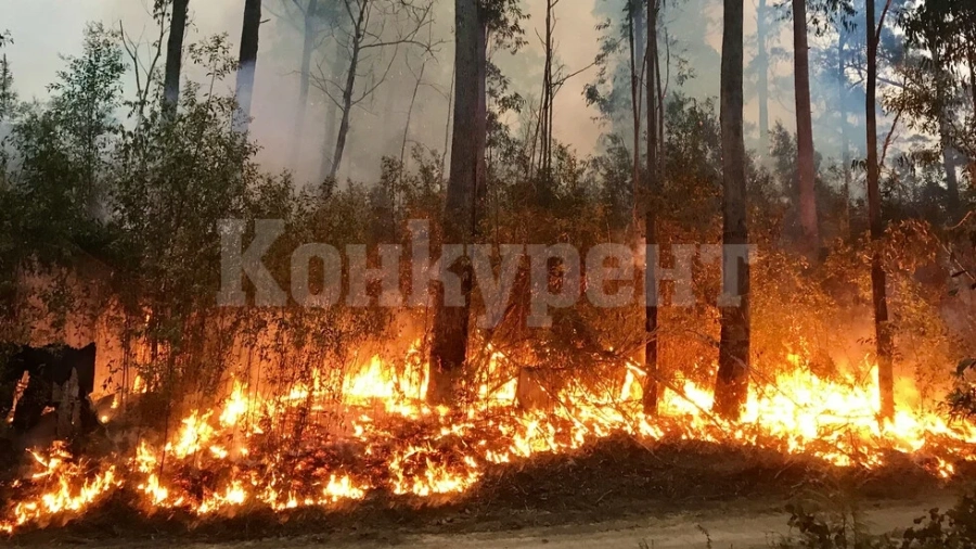 100 декара храсти изгоряха край Драганица