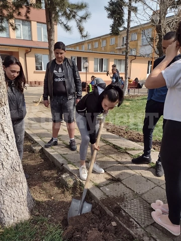 Ученици от ПГО „Елисавета Багряна“ Бяла Слатина почистиха и направиха по зелен двора на училището СНИМКИ