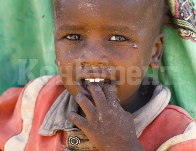 ООН: Сушата на Африканския рог може да умори от глад 20 млн. души