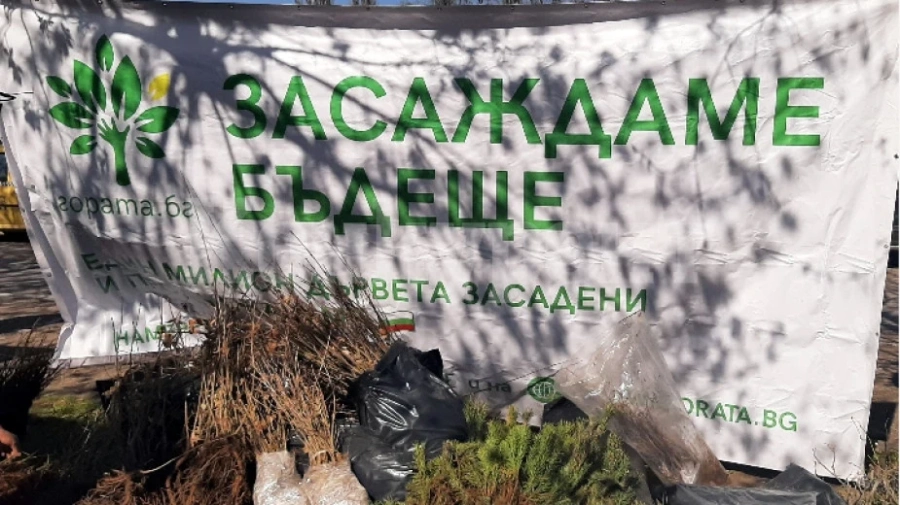 400 дръвчета и храсти получи община Ново село