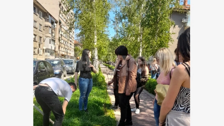 Бъдещи финансисти от Монтана засадиха дръвчета за юбилея на училището си