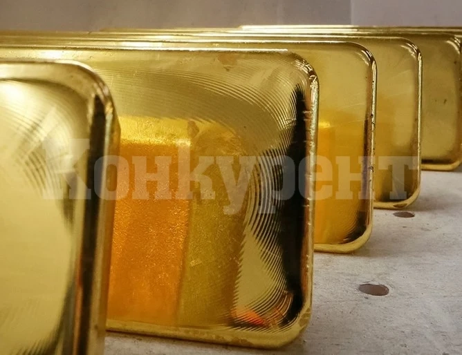 Поляци откриха метален контейнер, в който може да има 4 тона нацистко злато