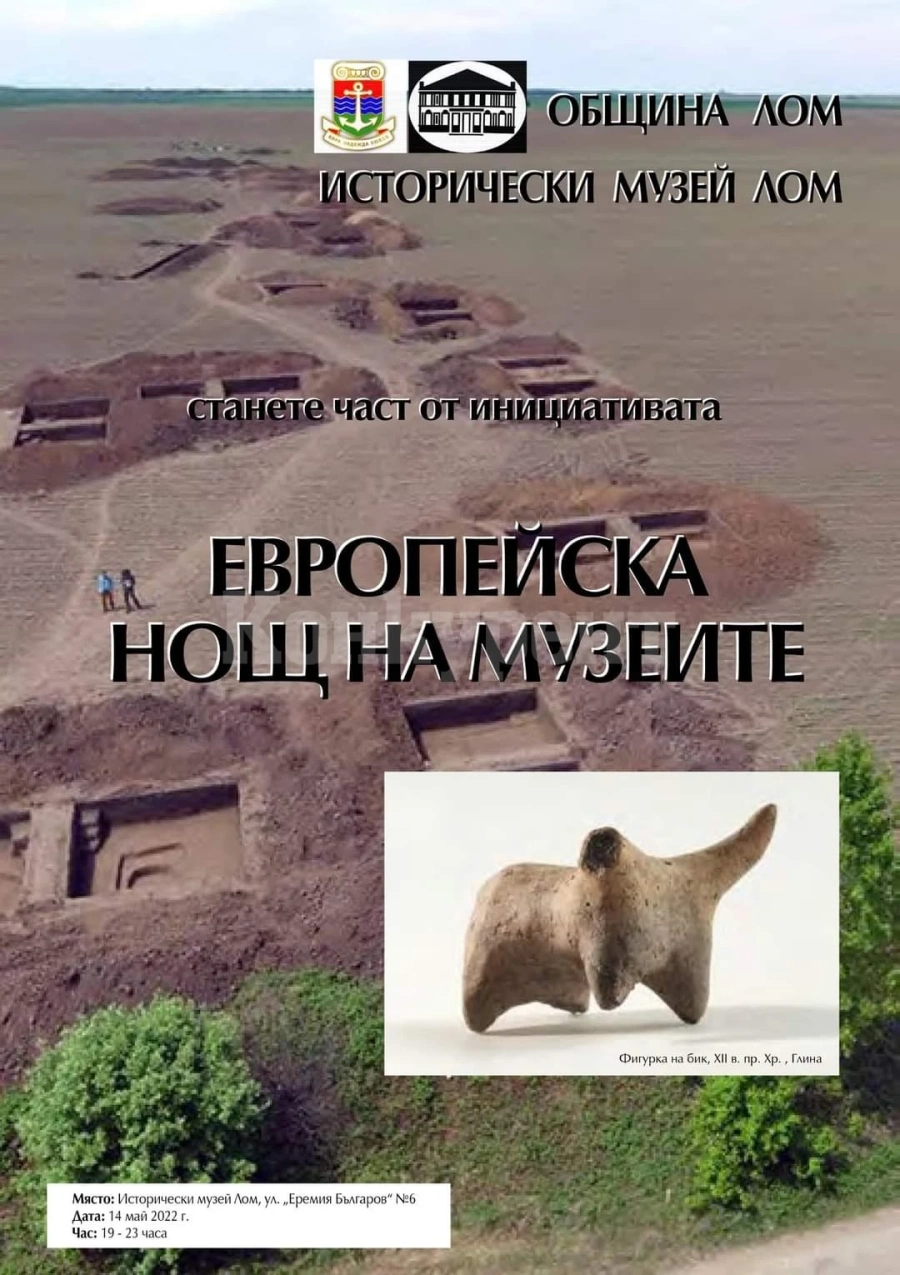 И в Лом почитат европейската нощ на музеите