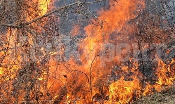 Пожар погълна 200 декара сухи треви