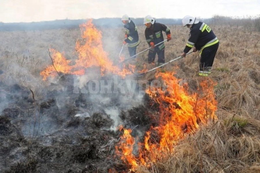Огнеборци гасиха запалени сухи треви във Видинско