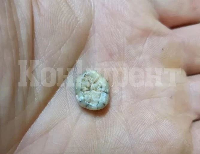 Зъб, открит в пещера в Лаос, хвърля светлина върху загадъчно изчезнал човешки вид