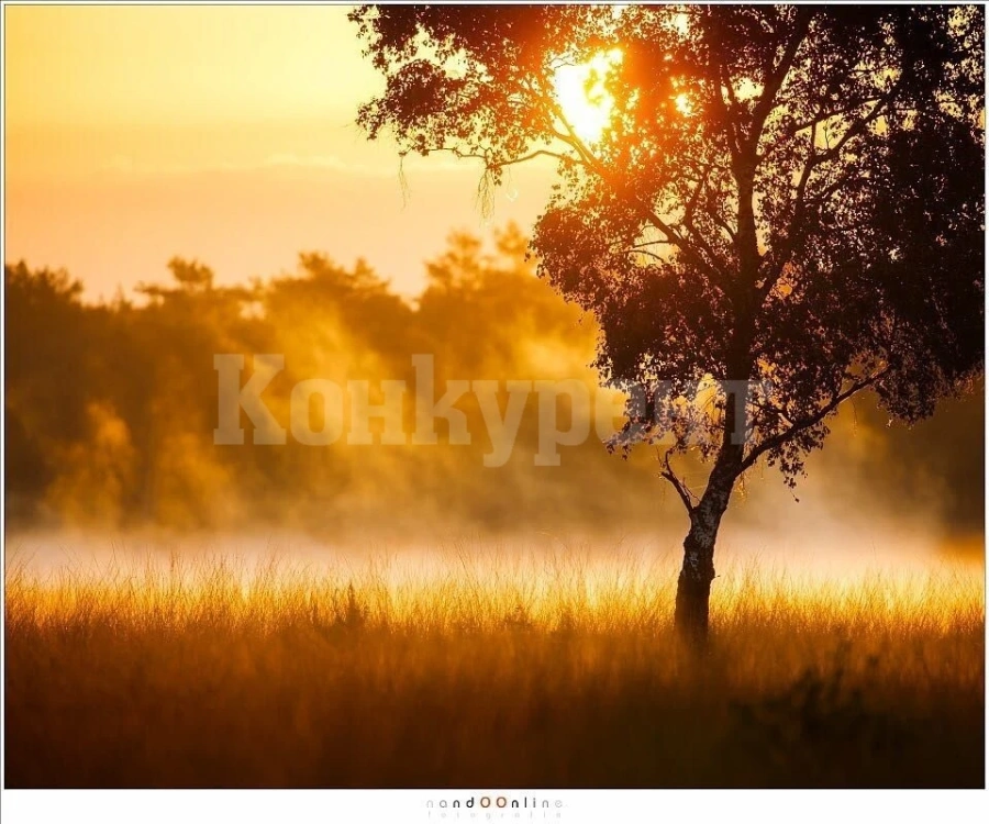 Срещат July Morning на хижата във Враца