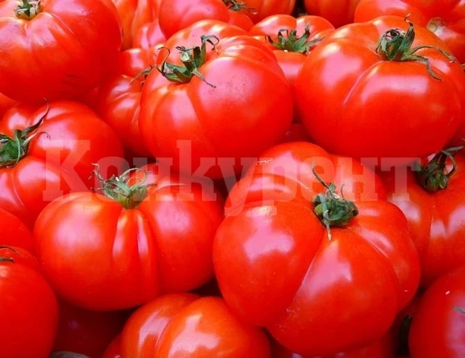Доматите и краставиците продължават да поевтиняват по тържищата