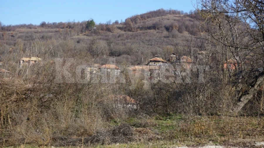 Почистват гробището в мездренското село Ослен Криводол