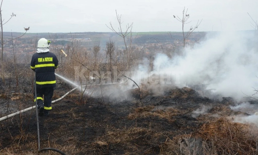 Огнеборци гасиха запалени треви във Видинско