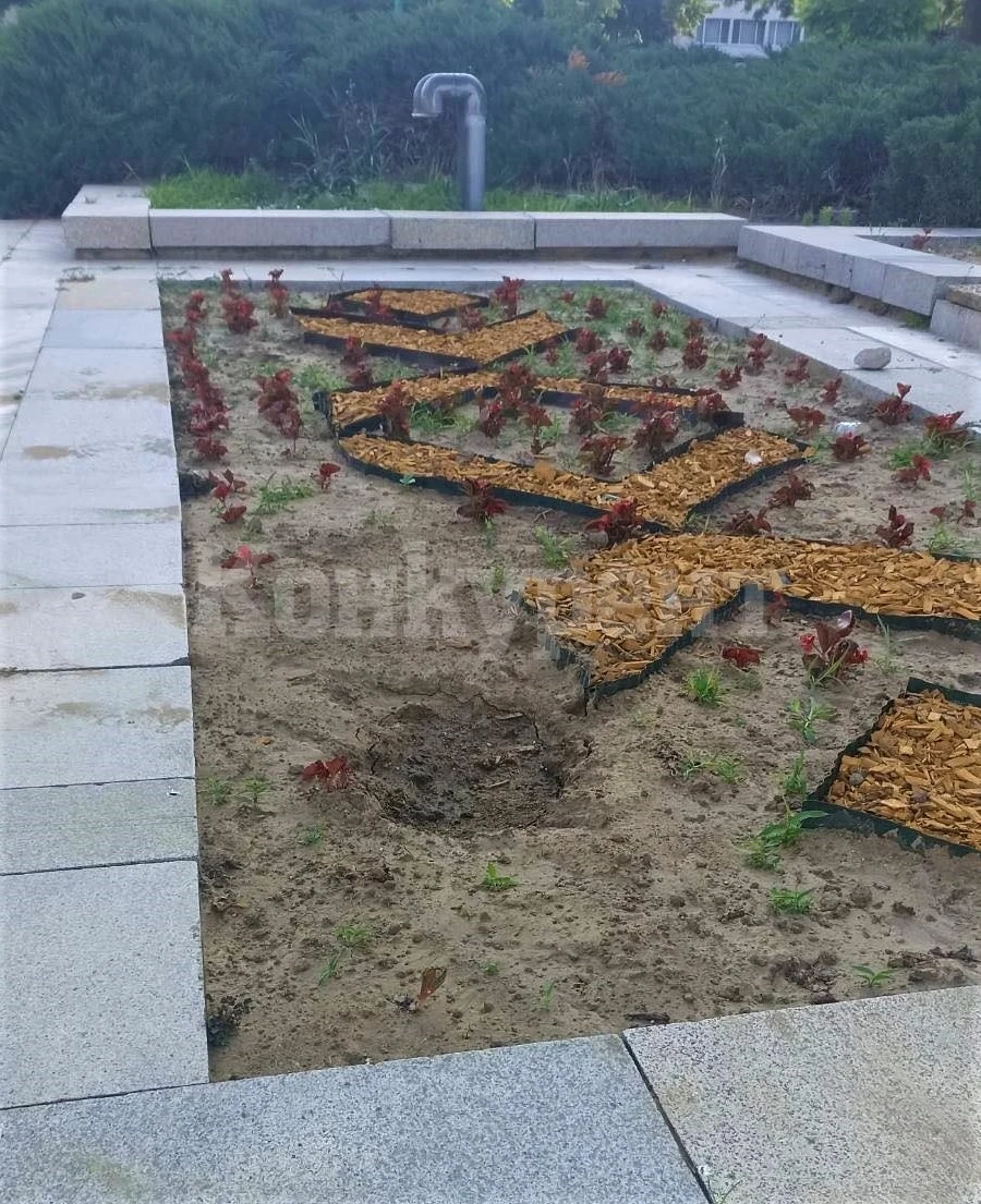 Вандали продължават да безчинстват във Видин, от общината апелират гражданите да бъдат непримирими 