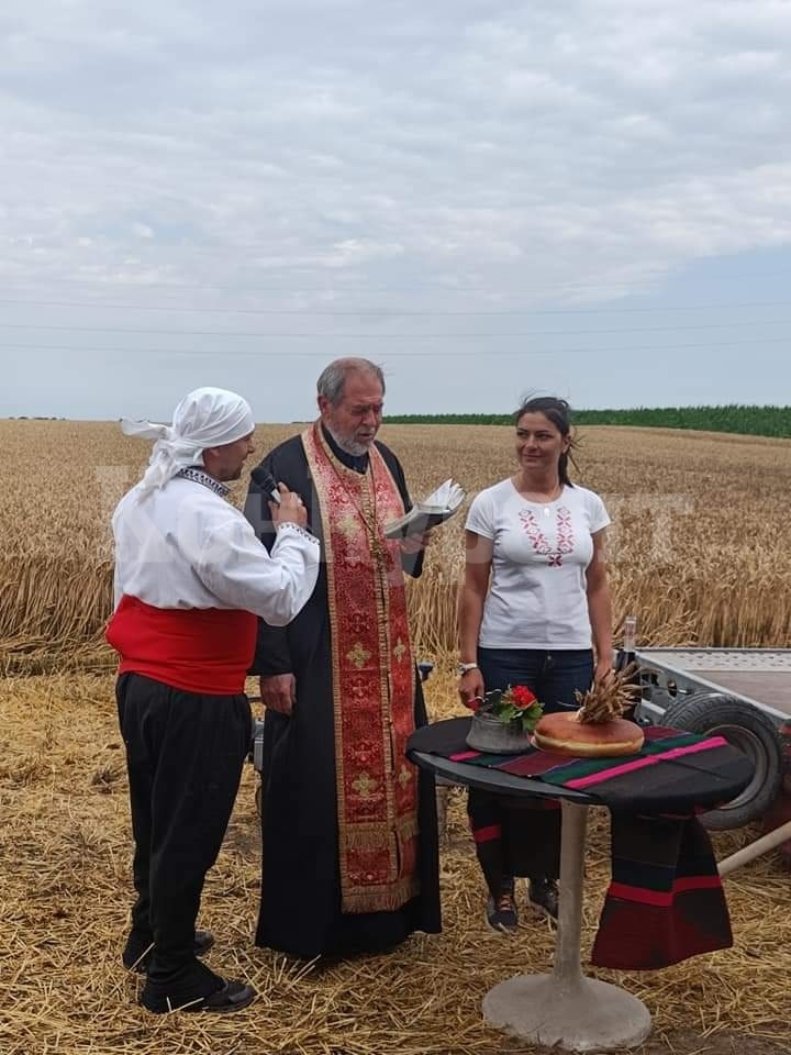 В Мизия откриха жътвата СНИМКИ