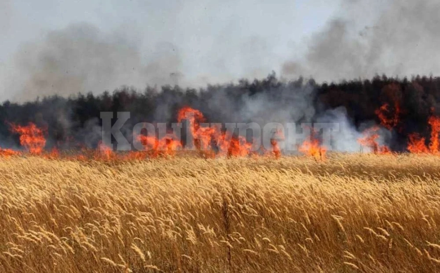 Горяха ниви в бойчиновско