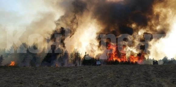 Огнеборци гасиха запалени треви