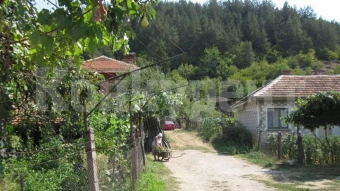 Мними бежанци извършват измами по селата