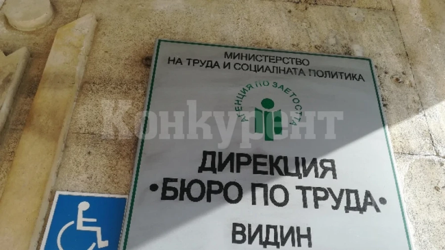 Търси се главен експерт в бюрото по труда във Видин за…