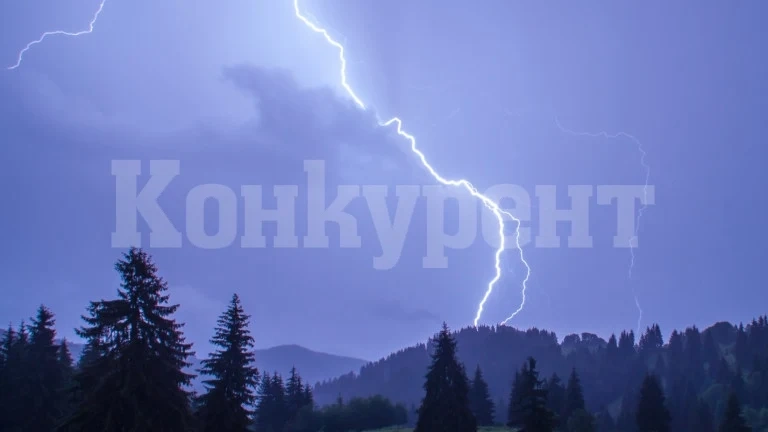 Мълния изпепели училище във видинско село