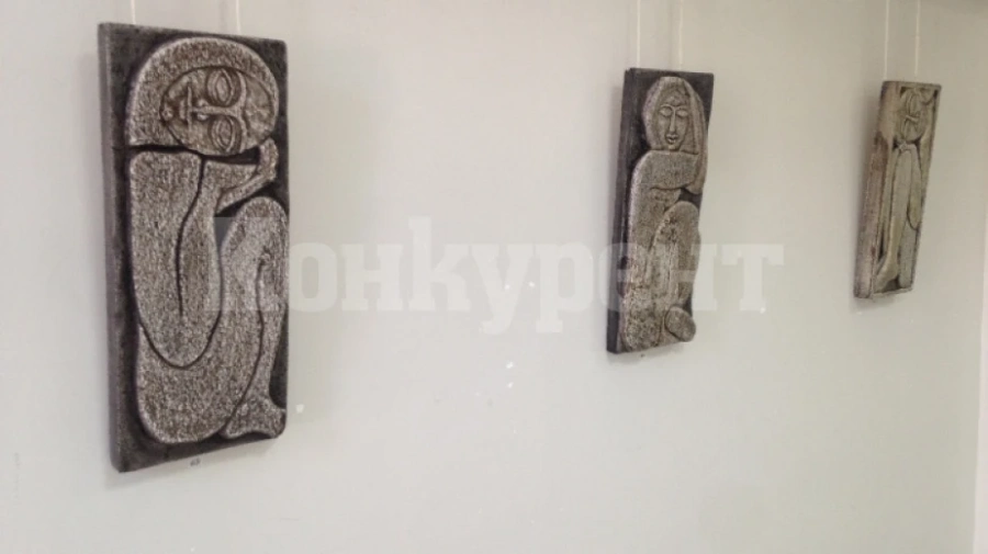 Художничка подреди третата си самостоятелна изложба в Лом