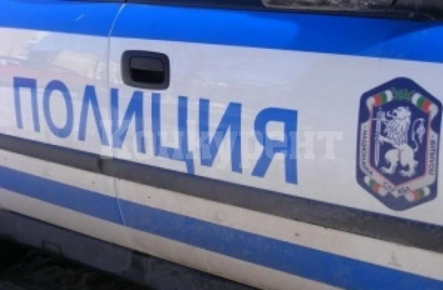 Иззеха стоки с лого на защитени марки в Димитровград