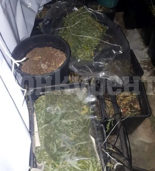 Близо килограм кабис иззе полицията от къща в Брусарци