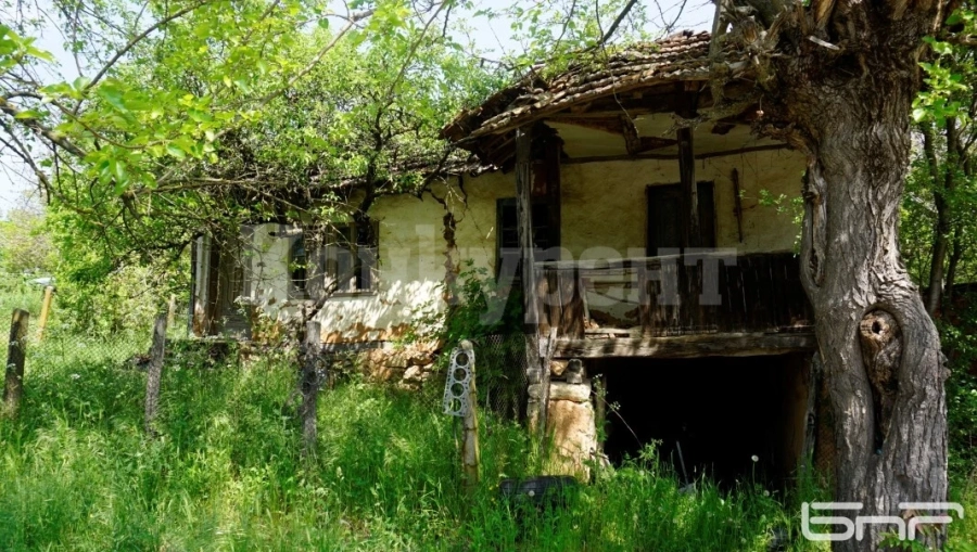 За монтанското село Буковец - с болка и тъга