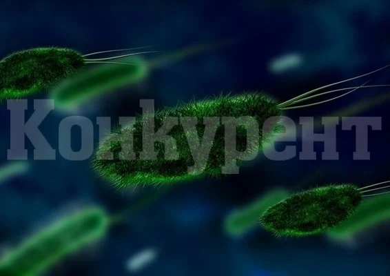 Два случая на инфектирани с изключително заразния марбургски вирус