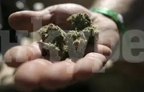 Ченгетата спряха 18-годишен, а той веднага им показа канабиса си