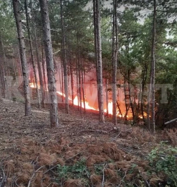 Хеликоптер се включи в гасенето на пожара край Пазарджик