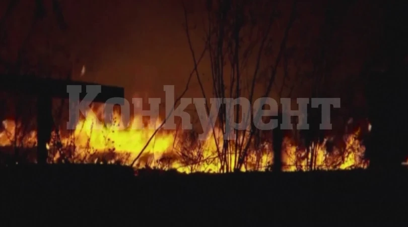 Горските пожари в Калифорния продължават да се разрастват